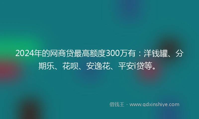 2024年的网商贷最高额度300万有：洋钱罐、分期乐、花呗、安逸花、平安i贷等。