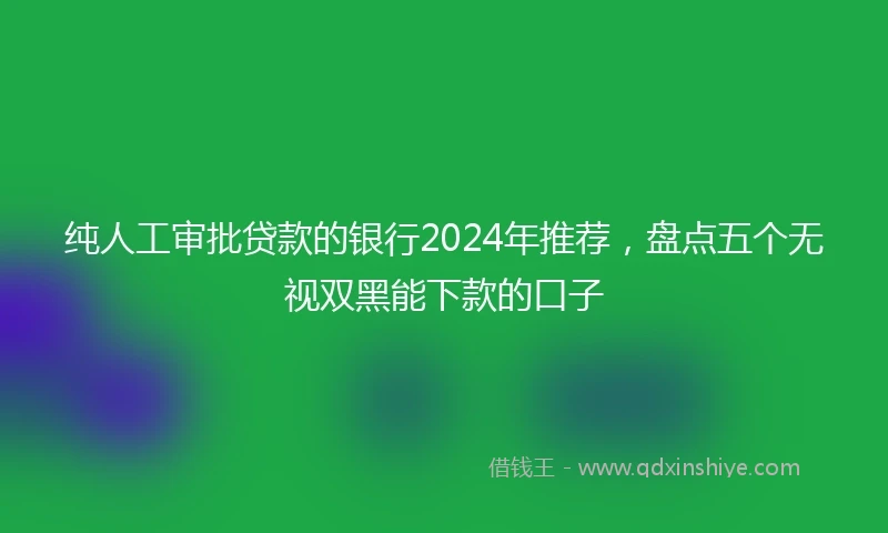 纯人工审批贷款的银行2024年推荐，盘点五个无视双黑能下款的口子