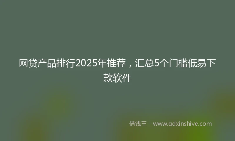 网贷产品排行2025年推荐，汇总5个门槛低易下款软件