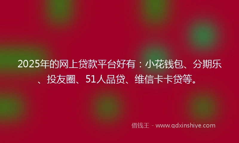 2025年的网上贷款平台好有：小花钱包、分期乐、投友圈、51人品贷、维信卡卡贷等。