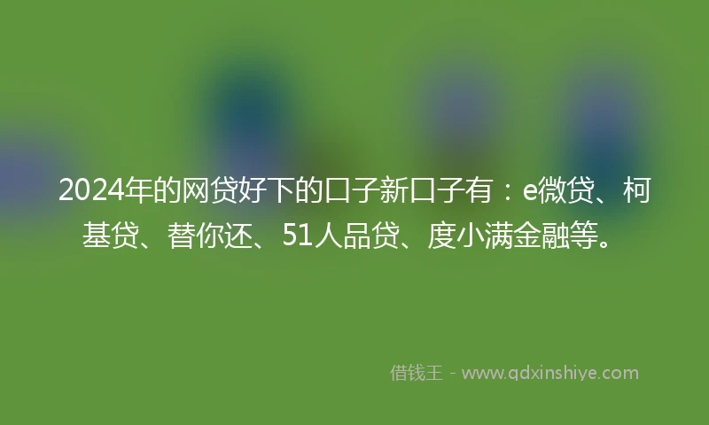 2024年的网贷好下的口子新口子有：e微贷、柯基贷、替你还、51人品贷、度小满金融等。