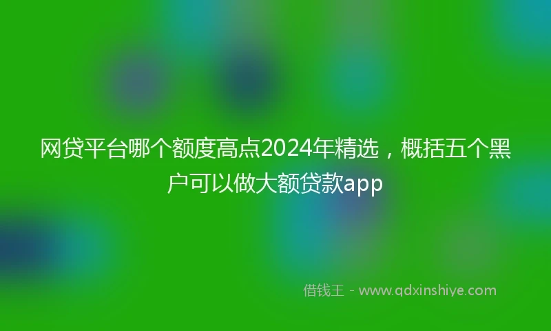 网贷平台哪个额度高点2024年精选，概括五个黑户可以做大额贷款app