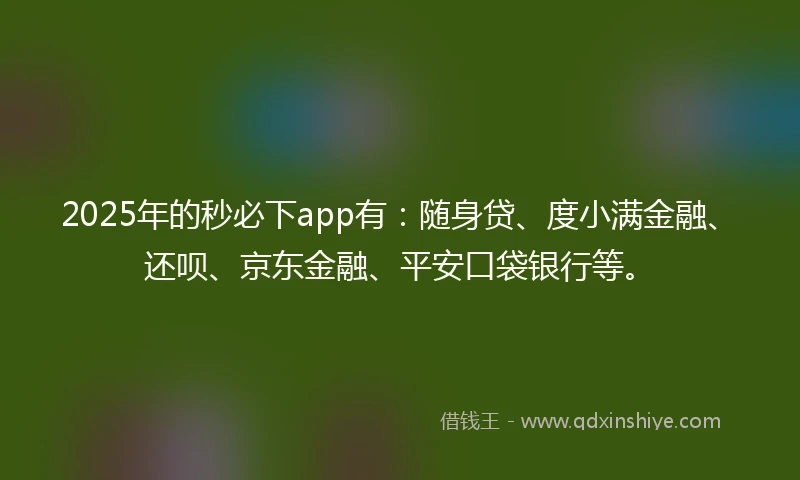 2025年的秒必下app有：随身贷、度小满金融、还呗、京东金融、平安口袋银行等。