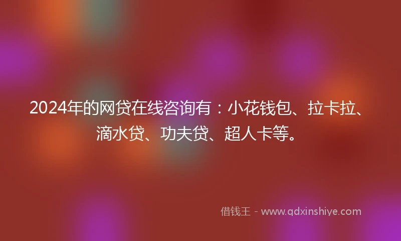 2024年的网贷在线咨询有：小花钱包、拉卡拉、滴水贷、功夫贷、超人卡等。