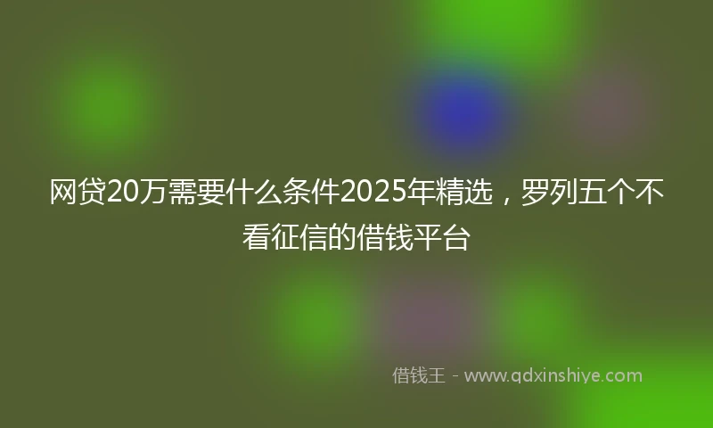 网贷20万需要什么条件2025年精选，罗列五个不看征信的借钱平台