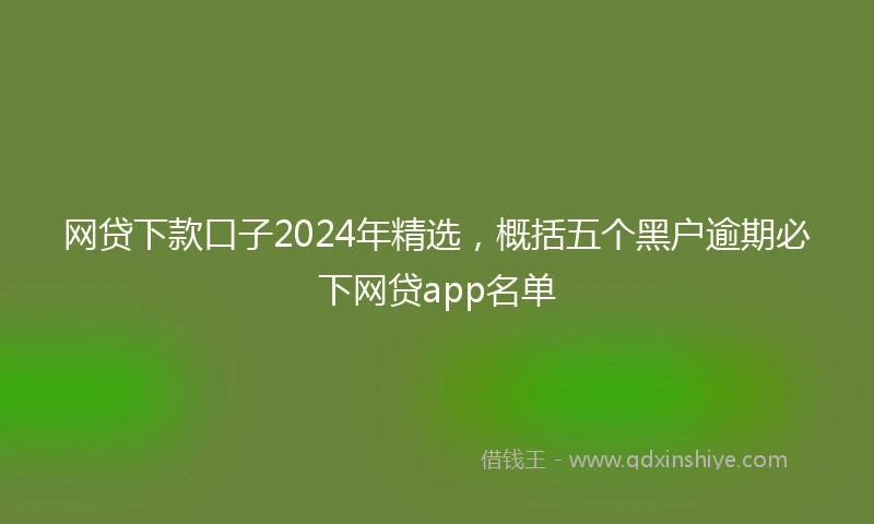 网贷下款口子2024年精选，概括五个黑户逾期必下网贷app名单