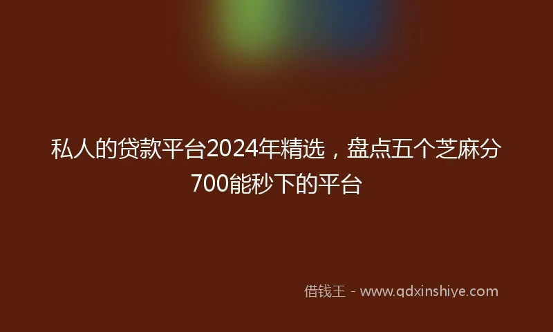 私人的贷款平台2024年精选，盘点五个芝麻分700能秒下的平台