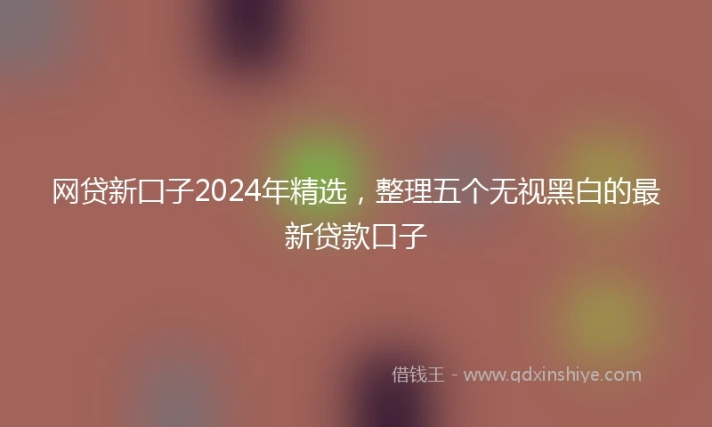 网贷新囗子2024年精选，整理五个无视黑白的最新贷款口子