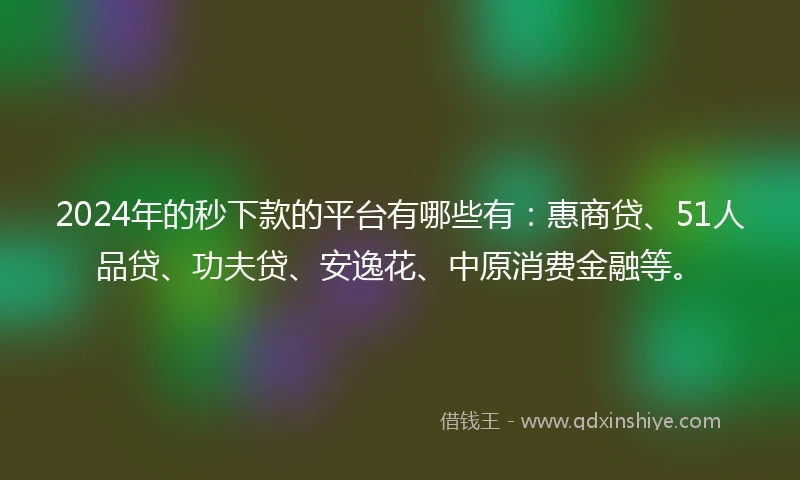 2024年的秒下款的平台有哪些有：惠商贷、51人品贷、功夫贷、安逸花、中原消费金融等。