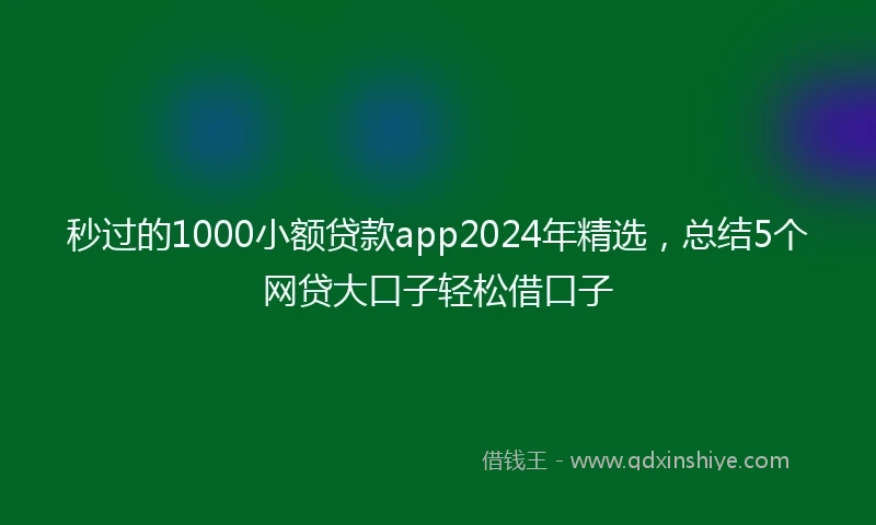 秒过的1000小额贷款app2024年精选，总结5个网贷大口子轻松借口子
