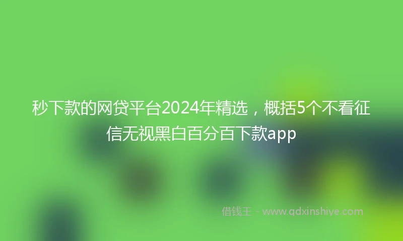秒下款的网贷平台2024年精选，概括5个不看征信无视黑白百分百下款app