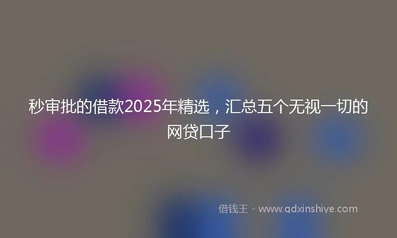 秒审批的借款2025年精选，汇总五个无视一切的网贷口子