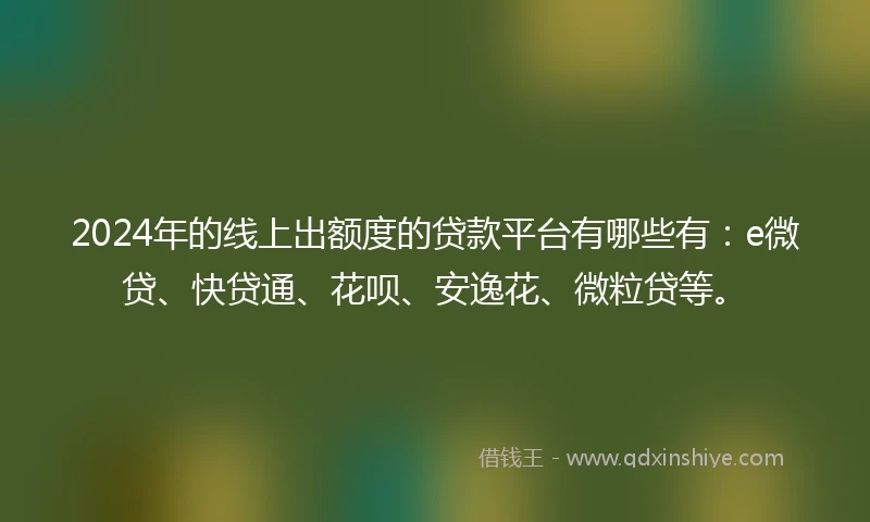 2024年的线上出额度的贷款平台有哪些有：e微贷、快贷通、花呗、安逸花、微粒贷等。