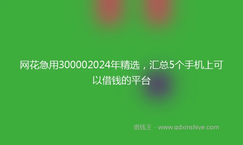 网花急用300002024年精选，汇总5个手机上可以借钱的平台