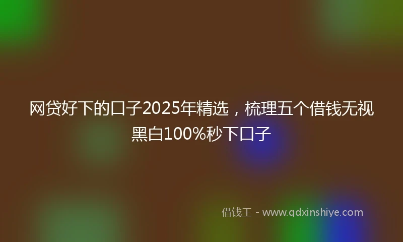 网贷好下的口子2025年精选，梳理五个借钱无视黑白100%秒下口子