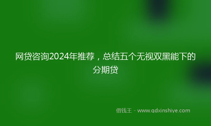 网贷咨询2024年推荐，总结五个无视双黑能下的分期贷