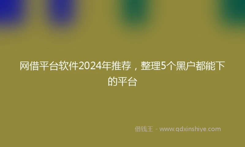 网借平台软件2024年推荐，整理5个黑户都能下的平台