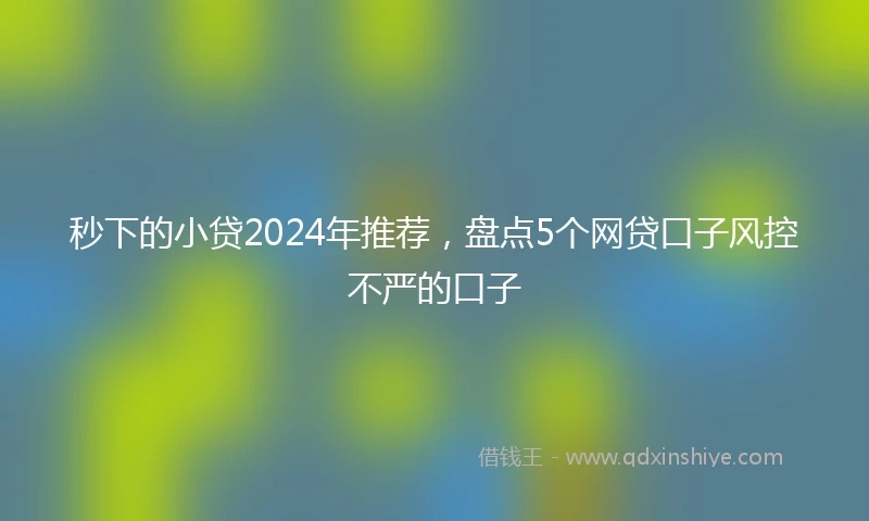 秒下的小贷2024年推荐，盘点5个网贷口子风控不严的口子