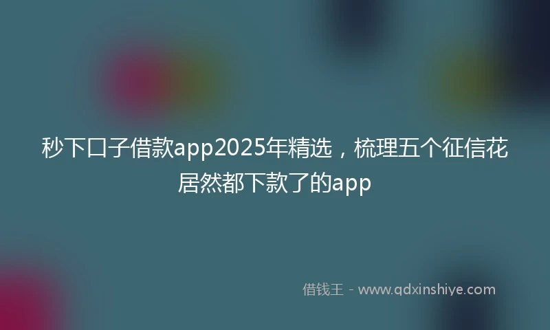 秒下口子借款app2025年精选，梳理五个征信花居然都下款了的app