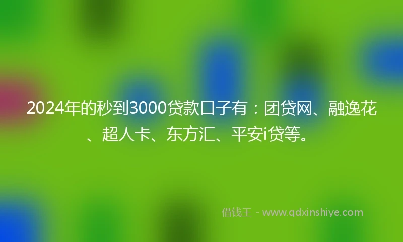 2024年的秒到3000贷款口子有：团贷网、融逸花、超人卡、东方汇、平安i贷等。