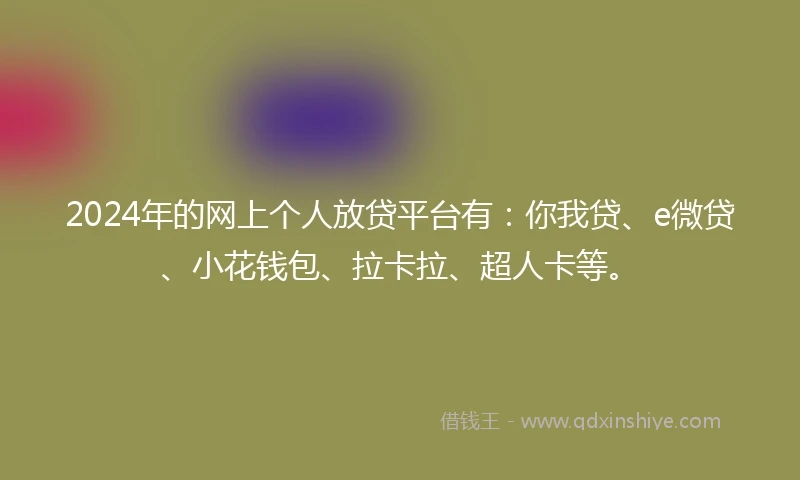 2024年的网上个人放贷平台有：你我贷、e微贷、小花钱包、拉卡拉、超人卡等。