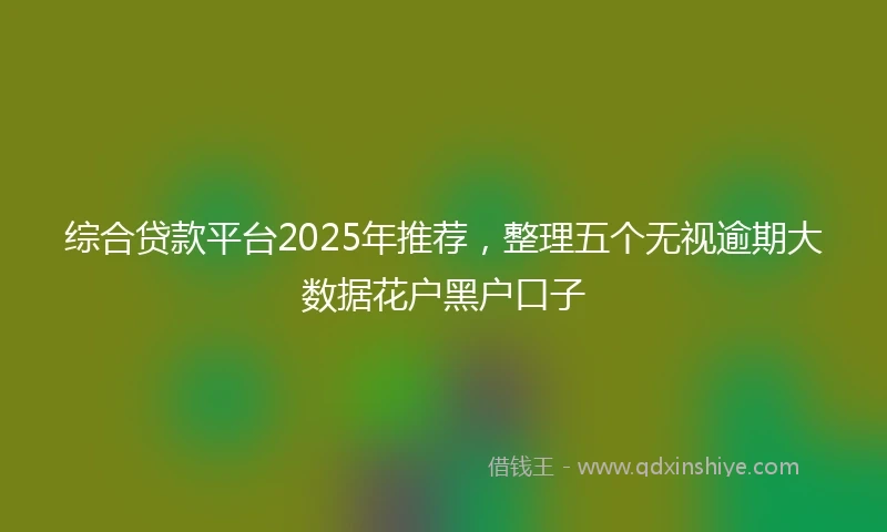 综合贷款平台2025年推荐，整理五个无视逾期大数据花户黑户口子