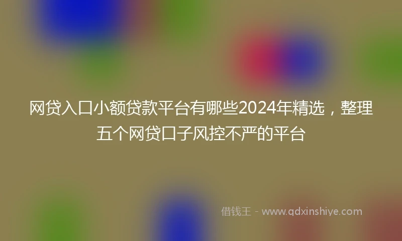 网贷入口小额贷款平台有哪些2024年精选，整理五个网贷口子风控不严的平台