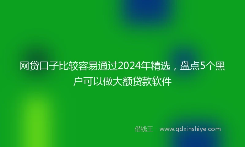 网贷口子比较容易通过2024年精选，盘点5个黑户可以做大额贷款软件