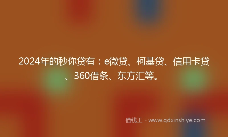 2024年的秒你贷有：e微贷、柯基贷、信用卡贷、360借条、东方汇等。