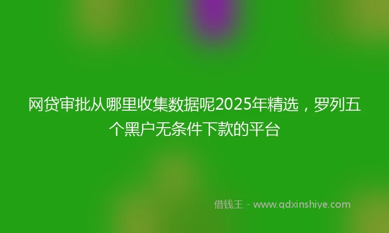 网贷审批从哪里收集数据呢2025年精选，罗列五个黑户无条件下款的平台