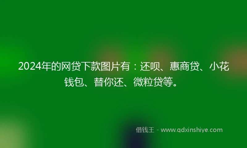 2024年的网贷下款图片有：还呗、惠商贷、小花钱包、替你还、微粒贷等。