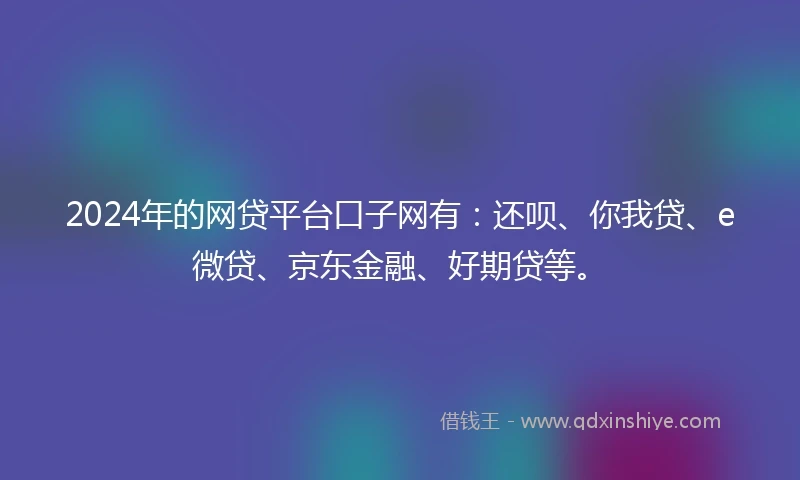 2024年的网贷平台口子网有：还呗、你我贷、e微贷、京东金融、好期贷等。