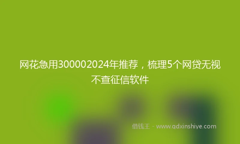 网花急用300002024年推荐，梳理5个网贷无视不查征信软件