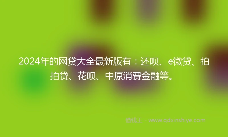 2024年的网贷大全最新版有：还呗、e微贷、拍拍贷、花呗、中原消费金融等。