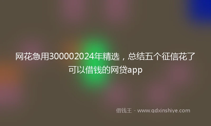 网花急用300002024年精选，总结五个征信花了可以借钱的网贷app