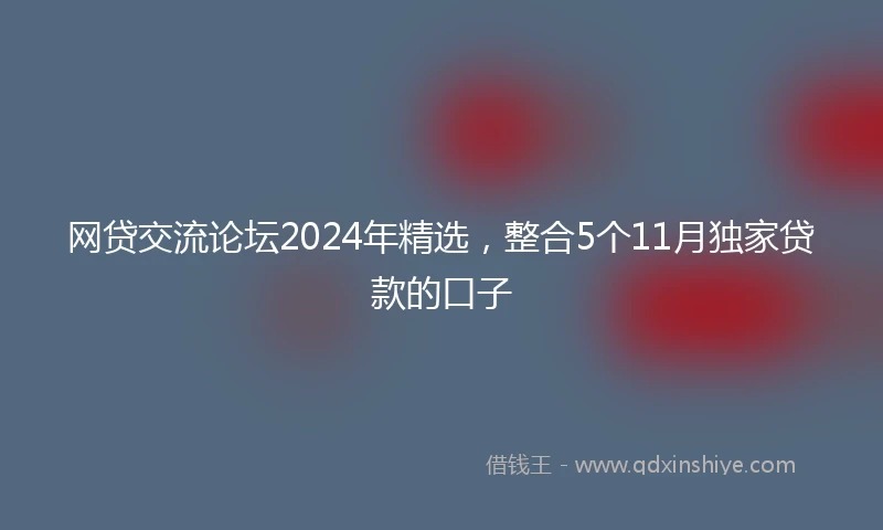 网贷交流论坛2024年精选，整合5个11月独家贷款的口子