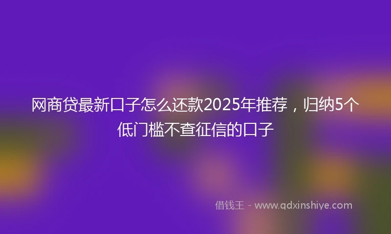 网商贷最新口子怎么还款2025年推荐，归纳5个低门槛不查征信的口子