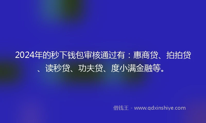 2024年的秒下钱包审核通过有：惠商贷、拍拍贷、读秒贷、功夫贷、度小满金融等。