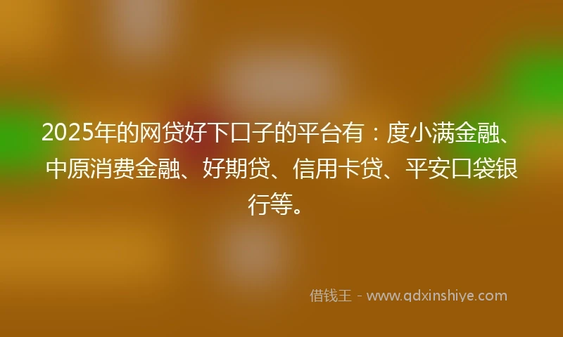 2025年的网贷好下口子的平台有：度小满金融、中原消费金融、好期贷、信用卡贷、平安口袋银行等。