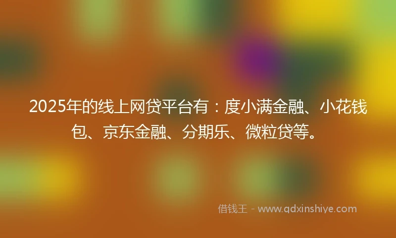 2025年的线上网贷平台有：度小满金融、小花钱包、京东金融、分期乐、微粒贷等。