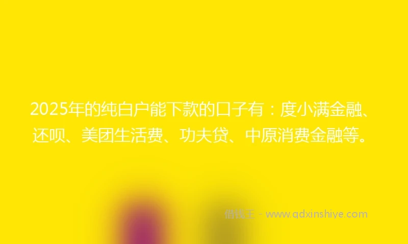 2025年的纯白户能下款的口子有：度小满金融、还呗、美团生活费、功夫贷、中原消费金融等。