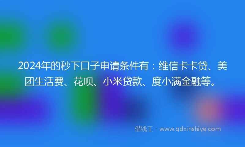 2024年的秒下口子申请条件有：维信卡卡贷、美团生活费、花呗、小米贷款、度小满金融等。