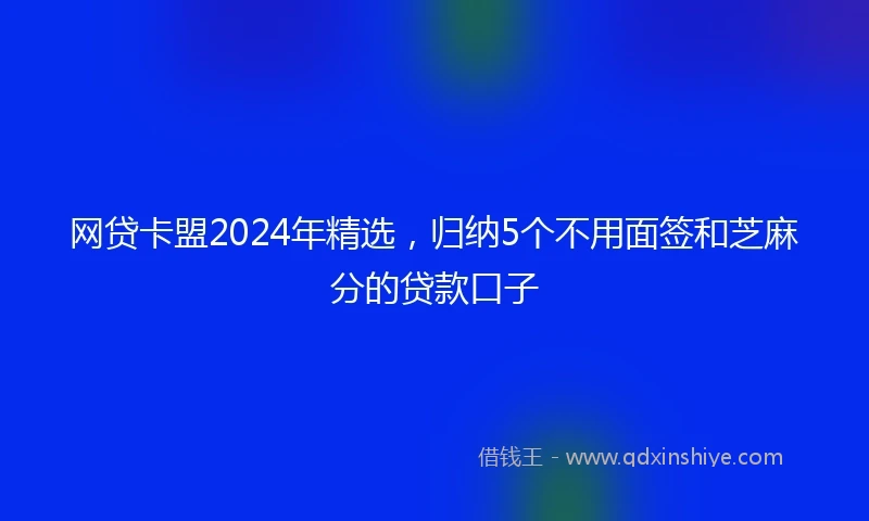 网贷卡盟2024年精选，归纳5个不用面签和芝麻分的贷款口子