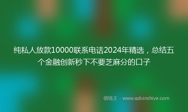 纯私人放款10000联系电话2024年精选，总结五个金融创新秒下不要芝麻分的口子