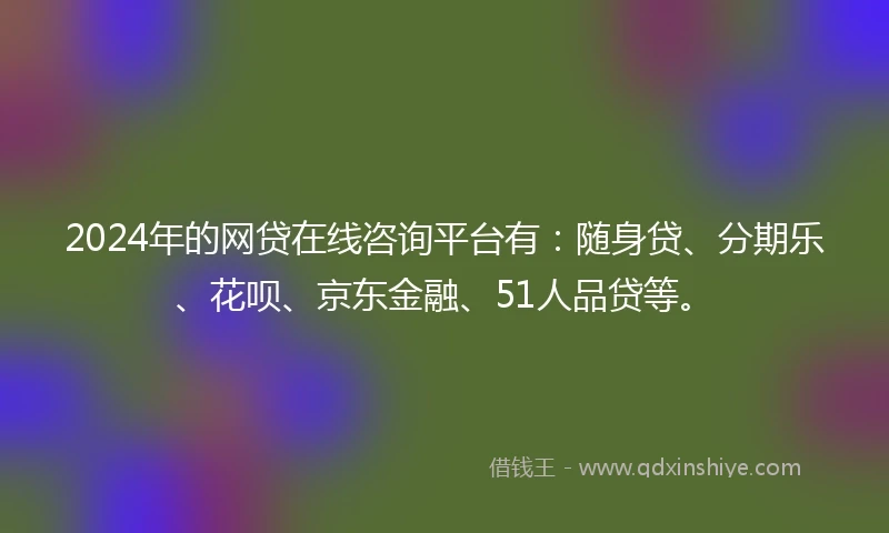 2024年的网贷在线咨询平台有：随身贷、分期乐、花呗、京东金融、51人品贷等。
