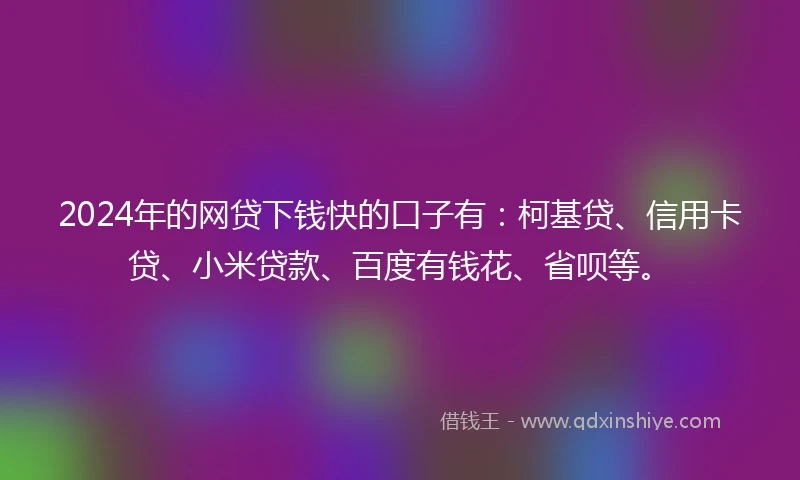 2024年的网贷下钱快的口子有：柯基贷、信用卡贷、小米贷款、百度有钱花、省呗等。