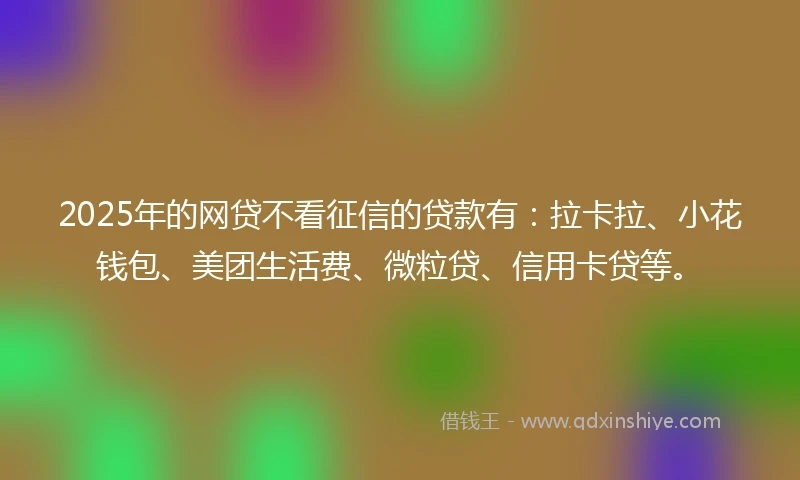 2025年的网贷不看征信的贷款有：拉卡拉、小花钱包、美团生活费、微粒贷、信用卡贷等。