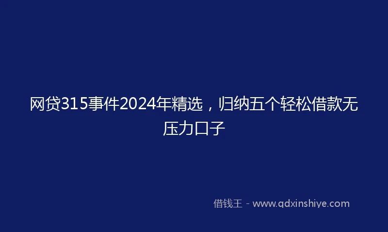 网贷315事件2024年精选，归纳五个轻松借款无压力口子