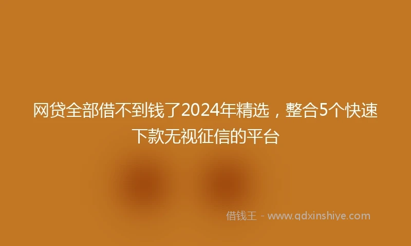 网贷全部借不到钱了2024年精选，整合5个快速下款无视征信的平台
