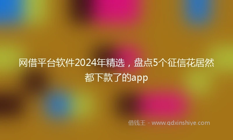 网借平台软件2024年精选，盘点5个征信花居然都下款了的app